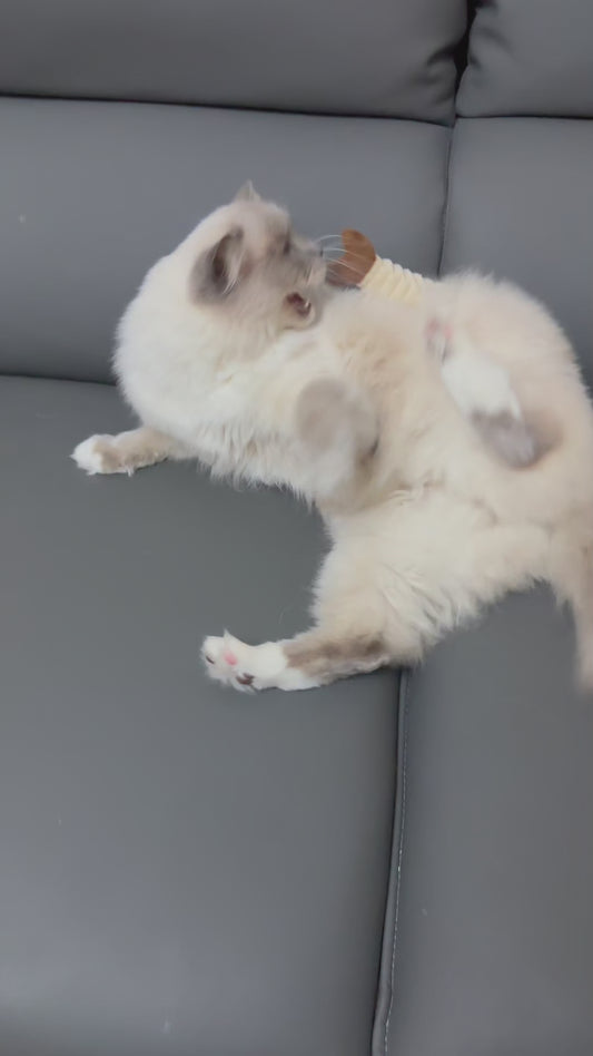 Katzenspielzeug Fisch Cuddle Kicker