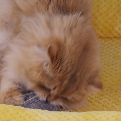 Rabbit Fur Mouse Cat Toys – Realistic Prey-Inspired Kicker