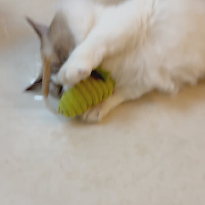 Grand coffret de souris à l'herbe à chat