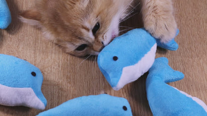 Dolphin Catnip Kicker
